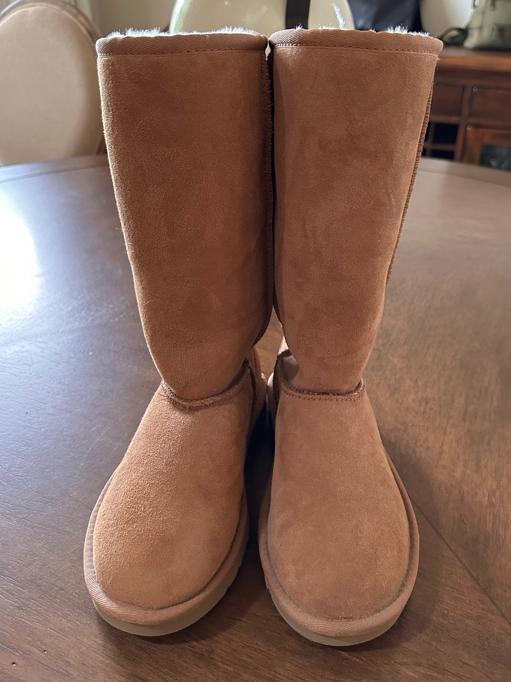 UGG Kids Tall Chestnut Suede Boots